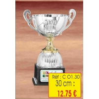 COUPE : REF. CO1 - 30 CM
